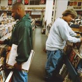 Endtroducing..... [20th Anniversary Edition] [3