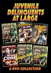 Juvenile Delinquents At Large DVD Collection