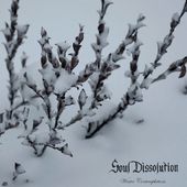 Winter Contemplations (Limited)
