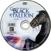 The Adventures of the Black Stallion - Season 2,