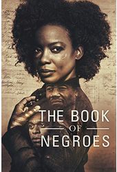 The Book of Negroes (3-DVD)