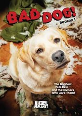 Bad Dog! - Season 1