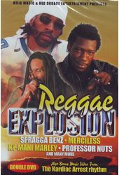 Reggae Explosion (2-DVD)