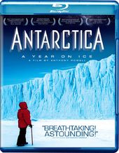 Antarctica: A Year on Ice (Blu-ray)