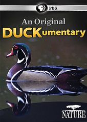 PBS - Nature: An Original Duckumentary