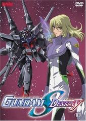 Gundam SEED Destiny, Volume 10