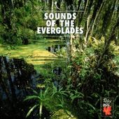 Relax with Sounds of the Everglades