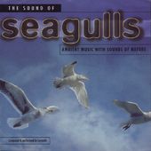 The Sound Of Seagulls