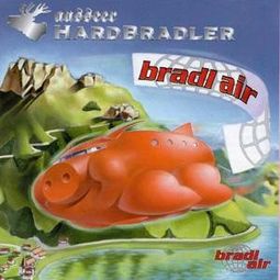 Bradl Air: Ausseer Hardbradler