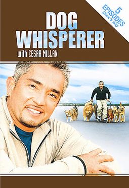 Dog Whisperer with Cesar Millan - Stories from