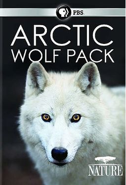PBS - Nature: Artic Wolf Pack