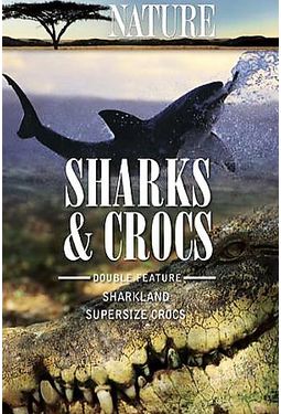Nature: Sharks & Crocs