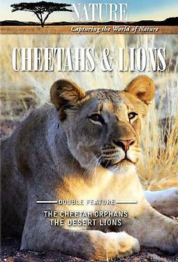 Nature - Cheetahs and Lions