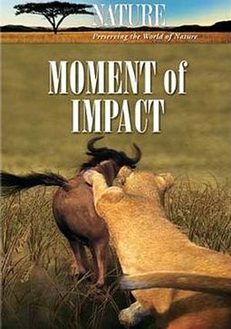 Nature: Moment of Impact