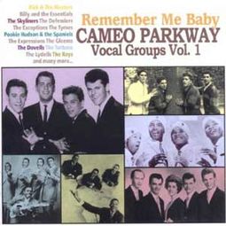 Remember Me Baby: Cameo Parkway Vocal Groups,