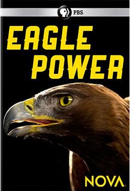 PBS - NOVA: Eagle Power