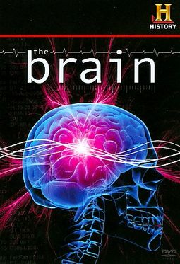 The History Channel: The Brain