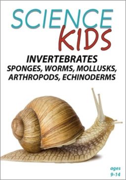 Science Kids:Invertebrates Sponges Wo