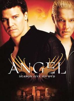 Angel - Season 5 (6-DVD)