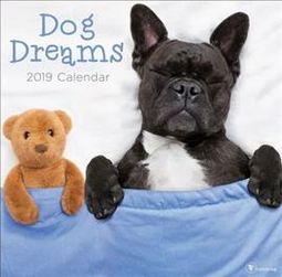 Dog Dreams - 2019 - Wall Calendar