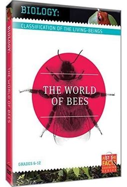 Biology Classification: The World of Bees