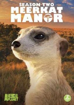Meerkat Manor - Season 2 (2-DVD)