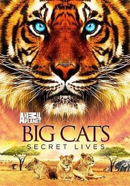 Animal Planet - Big Cats: Secret Lives