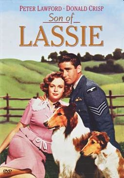 Lassie - Son of Lassie