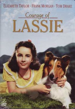 Lassie: Courage of Lassie