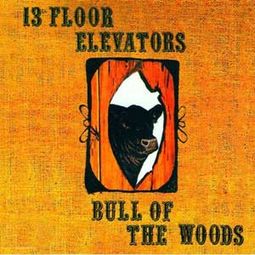 Bull Of The Woods (Snapper UK) (2-CD)