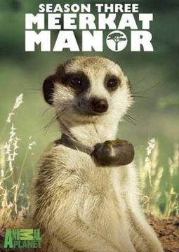 Meerkat Manor - Season 3 (2-DVD)
