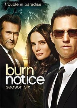 Burn Notice - Season 6 (4-DVD)