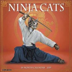 Ninja Cats - 2019 - Wall Calendar
