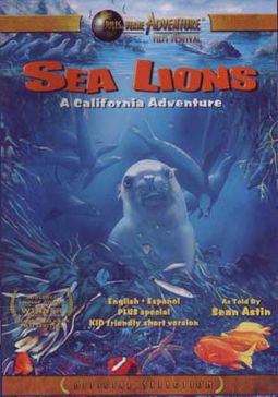 Sea Lions - A California Adventure