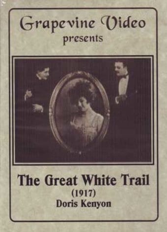 The Great White Trail (Silent)