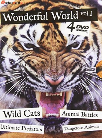 Wonderful World, Volume 1 (4-DVD)