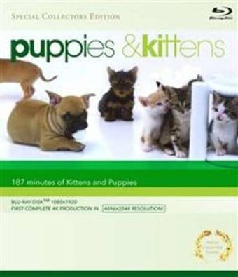 Puppies & Kittens (Blu-ray)
