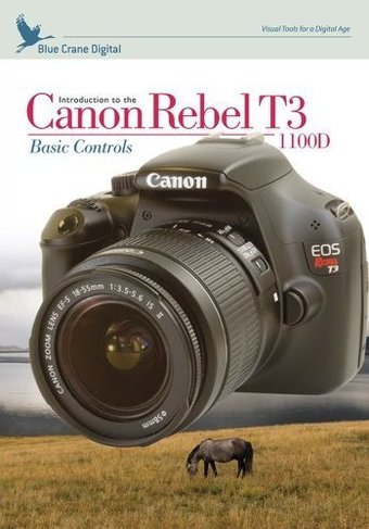 Introduction to the Canon Rebel T3/1100D Basic