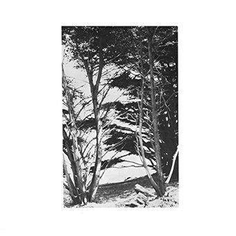 Gentle Wilderness [LP]