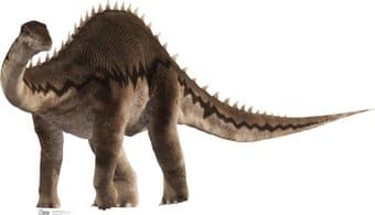 Diplodocus - Life Size Cardboard Cutout