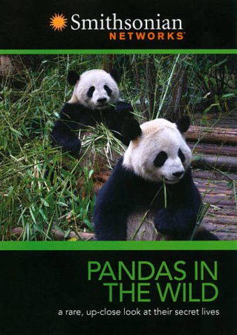 Smithsonian Channel - Pandas in the Wild