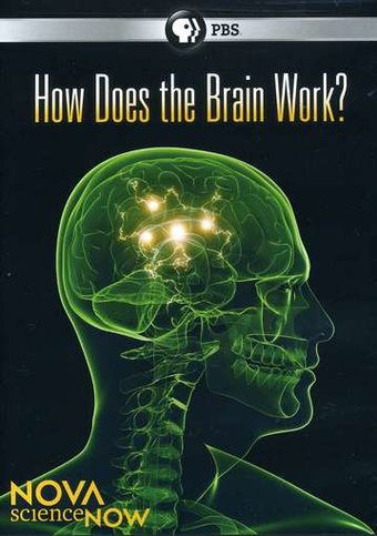 NOVA scienceNOW: How Does the Brain Work?