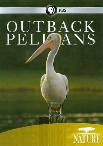 PBS - Nature: Outback Pelicans