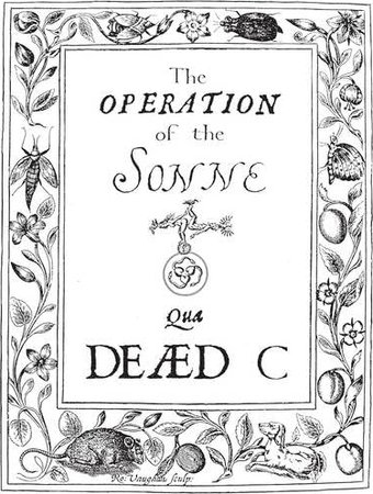 Operation Of The Sonne