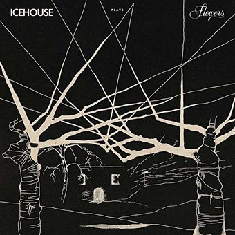 Icehouse Plays Flowers (Live)