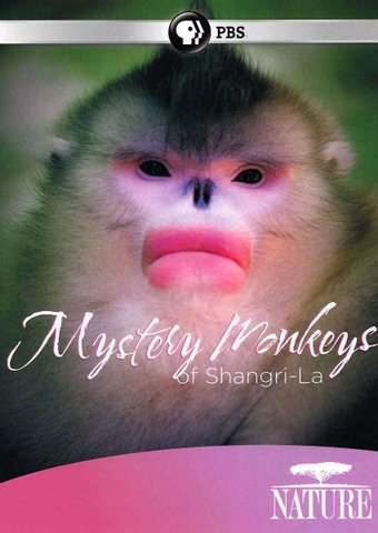 PBS - Nature: Mystery Monkeys of Shangri-La