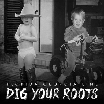 Dig Your Roots (2LPs)