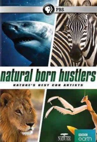 PBS - Nature Natural Born Hustlers