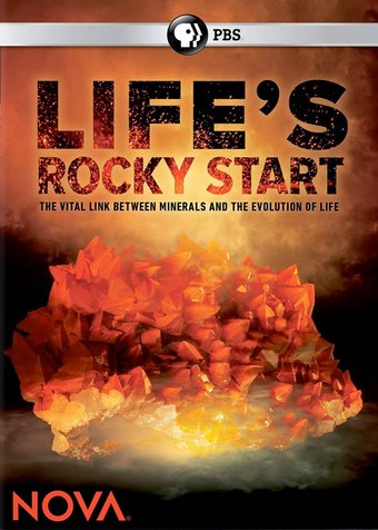 PBS - NOVA: Life's Rocky Start