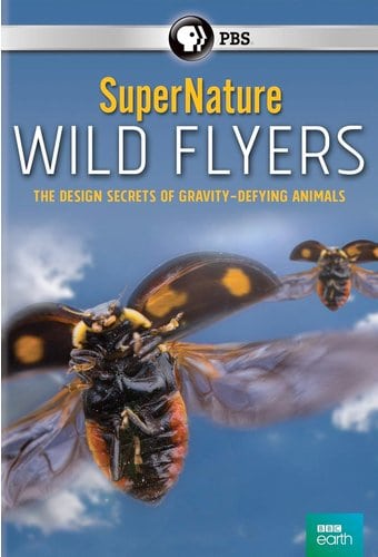 PBS - SuperNature: Wild Flyers